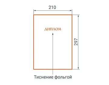 diplom-210h297-1859.jpg